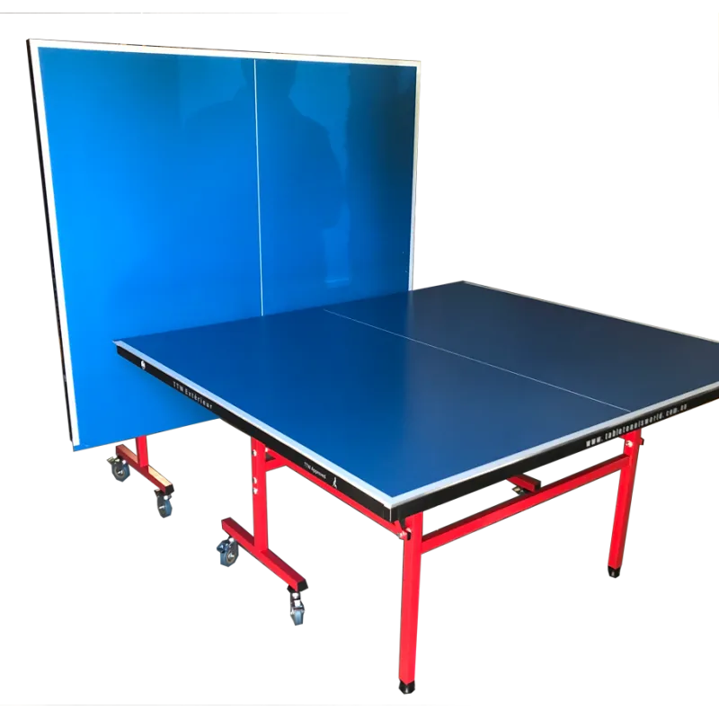 TTW Exterior Table Tennis Table
