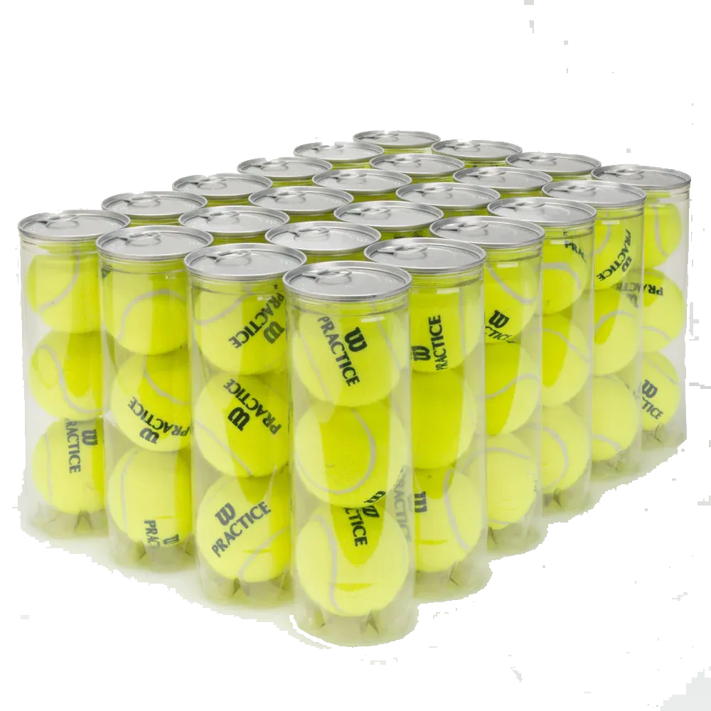 Wilson Practice Extra Duty Tennis Ball Case